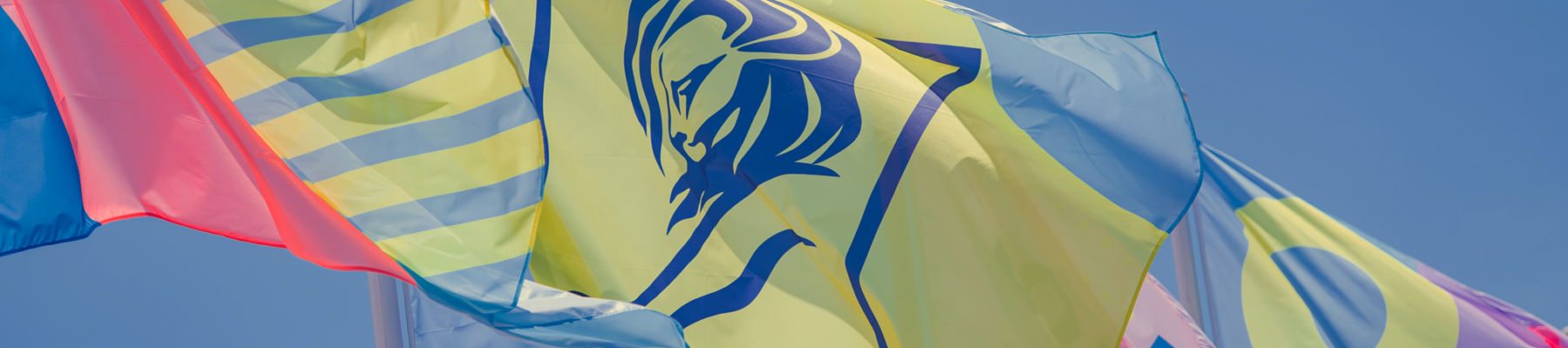 LIONS